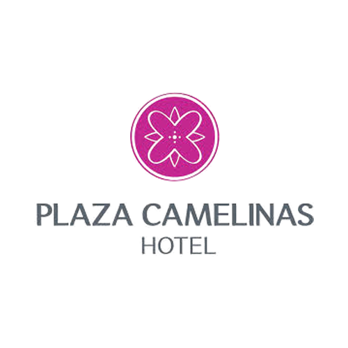 plaza-camelinas